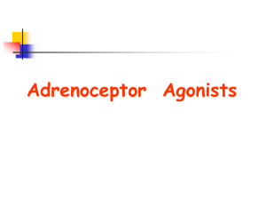 Chapter 10 . Adrenoceptor Agonists :
