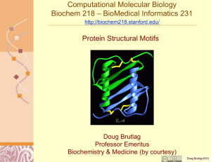 Protein Structural Motifs