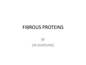 FIBROUS PROTEINS