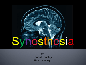Synesthesia - Rice University