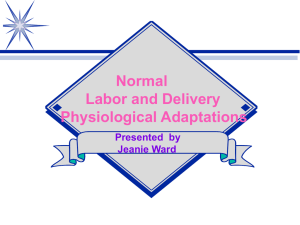 Normal Labor and Delivery Physiological Adaptations Presented by