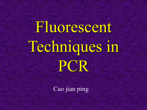 Fluorescent Probes in PCR