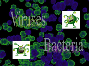 Viruses and Bacteria Notes
