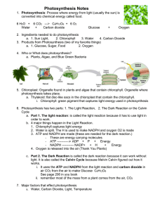 Notes photosynthesis