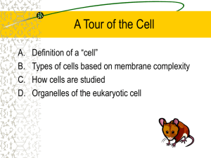 A tour of the cell