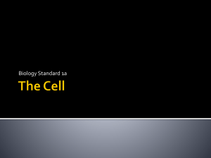 The Cell - GertzScience