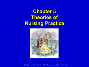 Chapter 3 Theories of Nursing Practice