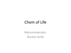 biomolecules nucleic acids
