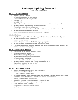 What is an assessment image