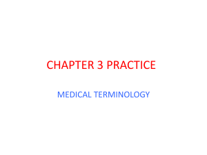 Link to Chp. 3 Practice ppt.