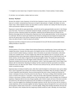 The house on mango street essay