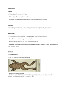 Frog dissection guide and worksheet