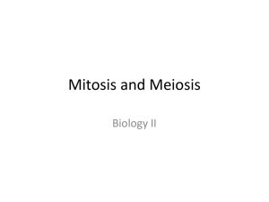 Mitosis and Meiosis - Ms. Clark's Science