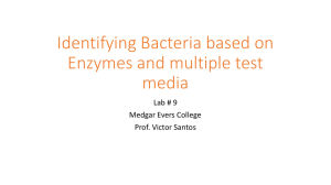 Identifying Bacteria based on Enzymes and multiple test media