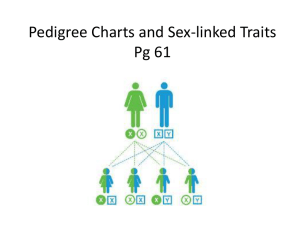 Pedigree Charts and Sex-linked Traits Pg 61