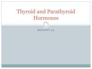 Thyroid and Parathyroid Hormones