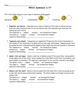 Symbiotic Relationships Worksheet—Good Buddies Barnacle/Whale Symbiotic