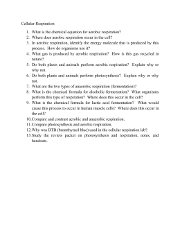 where to find a suitable topic for your academic essay cellular respiration lab photosynthesis essay essay report cellular respiration essay nikin shah november bio ma the photosynthesis