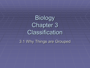 Standard Biology Chapter 3 Classification