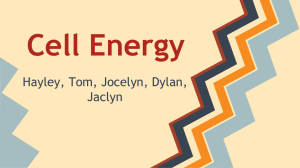 Cell Energy Student Review