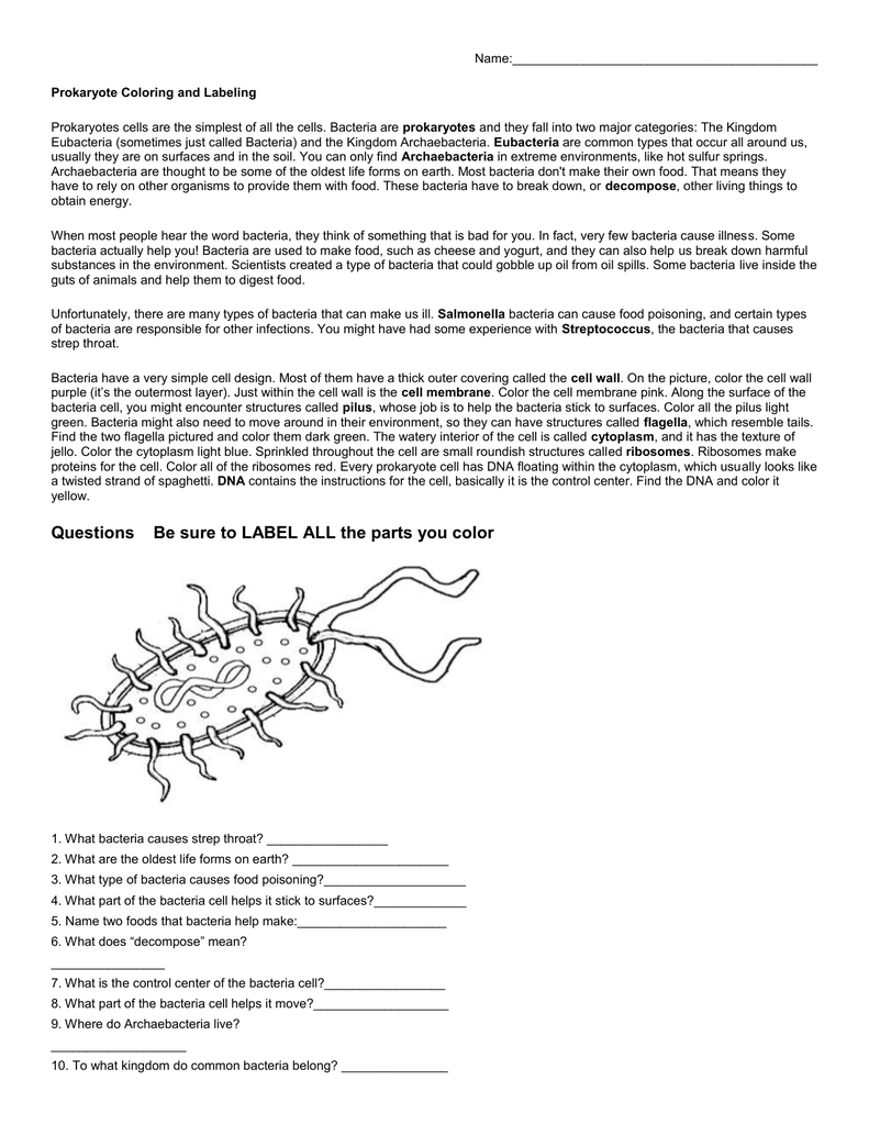 Prokaryote Coloring Worksheet - Bluegreenish