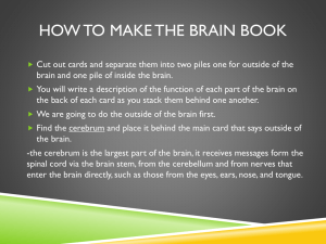 How to make the Brain Book