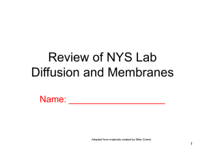 Diffusion_Lab_Review1Studentcopy