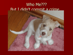 Preliminary Crimes - practical-law