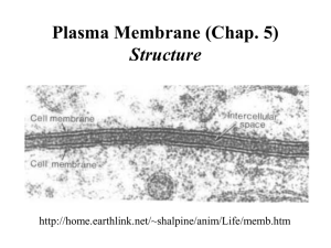 Plasma Membrane (Chap. 5) Structure