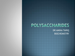 polysaccharides - MBBS Students Club