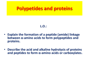 Polypetides and proteins