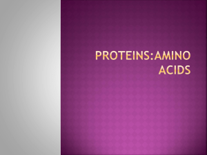 Proteins: Primary Structure