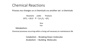 Chemical Reactions Metabolism PP Chemical Reactions