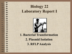 Some helpful hints of how to write your lab report-1