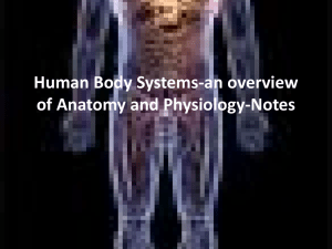 Human Body Systems-an overview of Anatomy and Physiology