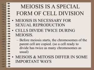 MEIOSIS IS A SPECIAL FORM OF CELL DIVISION