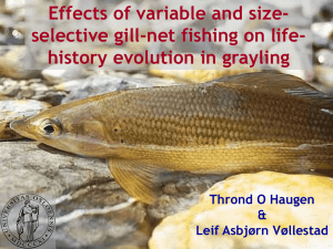 Effects of variable and size-selective gill-net fishing on life