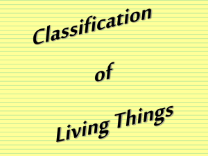 A- Classification