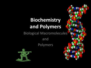 polymers - Liberty Union High School District