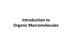 0.2 Macromolecules - SandyBiology1-2