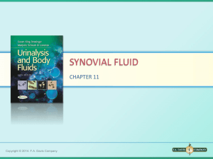Ch11 Synovial Fluid Davis - 36-454-f10