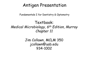 Antigen Presentation - UAB School of Optometry