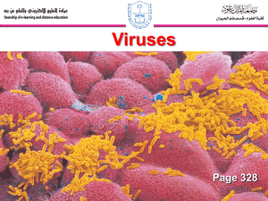 Lecture 3 Virus