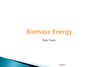 Chapter6-Biomass Ene..