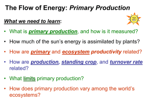 EnergyFlow_lecture20..