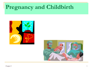 Pregnancy and Childbirth - NAU jan.ucc.nau.edu web server