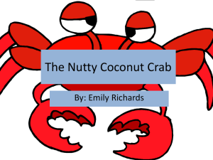The Nutty Coconut Crab - The Watson's Winners Blog