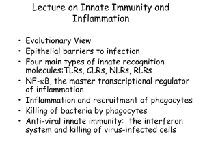 Powerpoint - UCSF Immunology Program