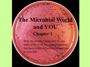 The Microbial World and YOU