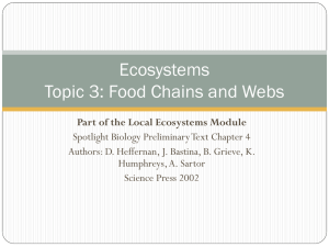 4.3 Food Chains and Webs